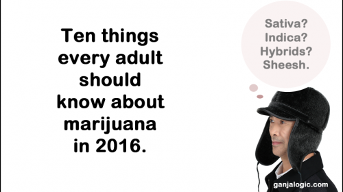 Pot for Adults: 10 New Rules