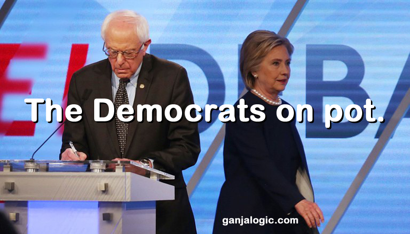 The Democratic Candidates on Cannabis